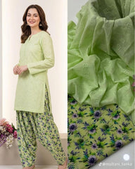 Chiken Kari 2pc